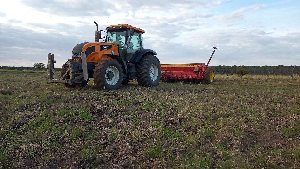 Servicios agropecuarios