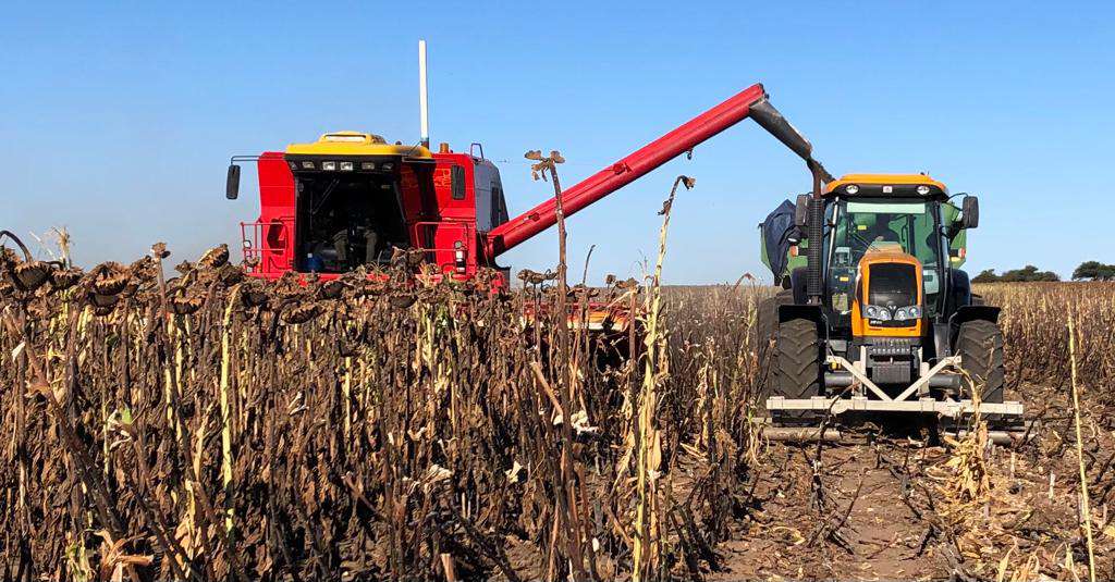Servicios agropecuarios