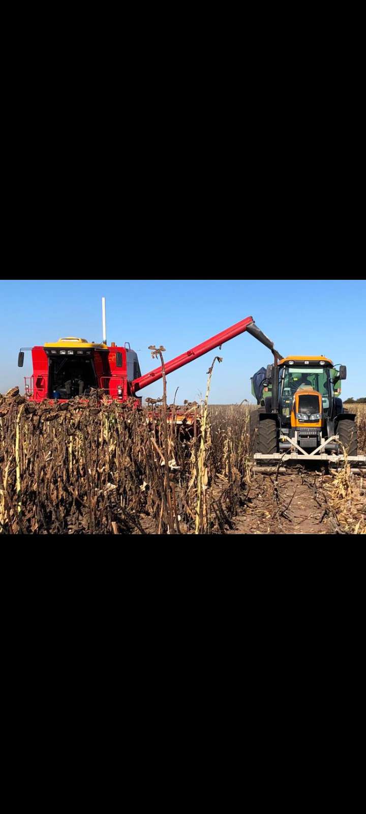 Servicios agropecuarios