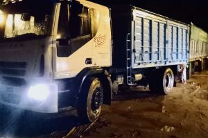 Transporte de granos